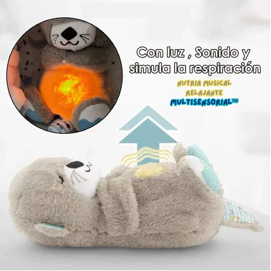 NUTRIA MUSICAL RELAJANTE